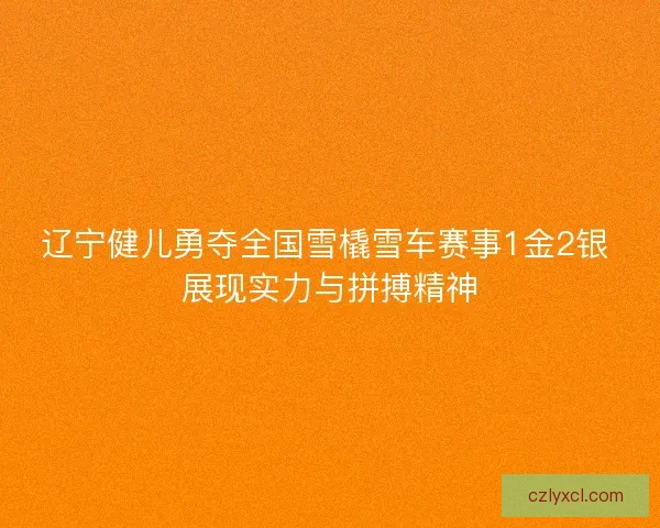 辽宁健儿勇夺全国雪橇雪车赛事1金2银 展现实力与拼搏精神