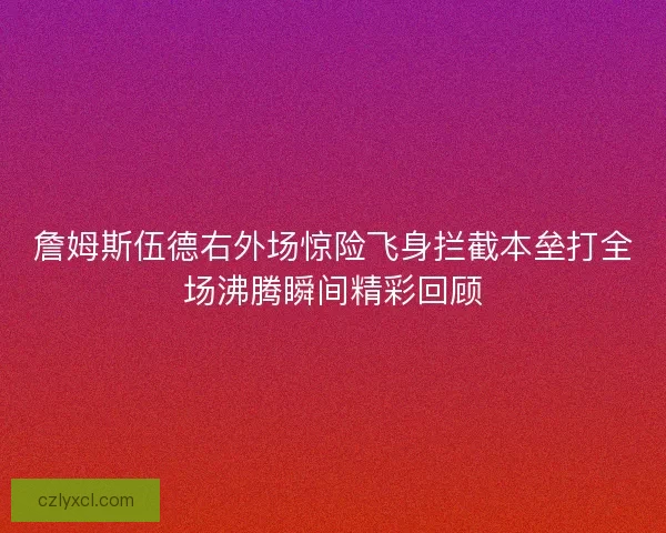 詹姆斯伍德右外场惊险飞身拦截本垒打全场沸腾瞬间精彩回顾