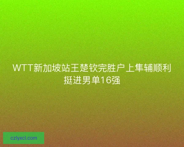 WTT新加坡站王楚钦完胜户上隼辅顺利挺进男单16强