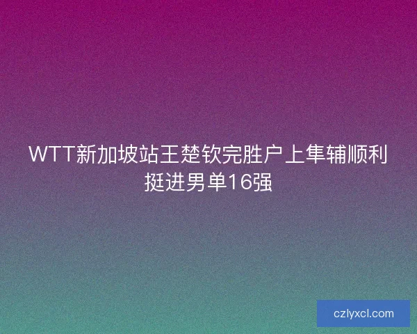 WTT新加坡站王楚钦完胜户上隼辅顺利挺进男单16强